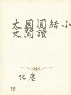 大团圆结小茹全文阅读封面