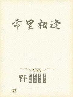 命里相逢