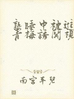 熟睡中被进了H青梅诱哄视频