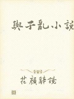 与子乱小说