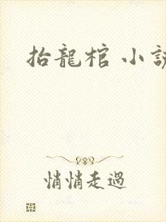 抬龙棺 小说封面