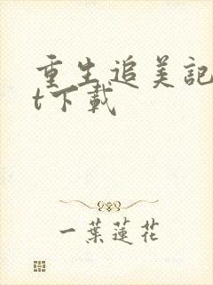 重生追美记txt下载