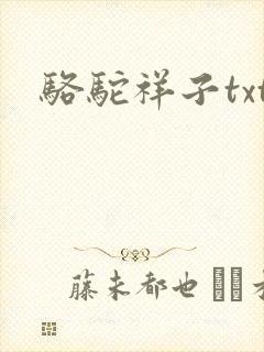 骆驼祥子txt封面