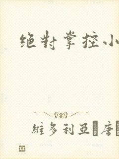 绝对掌控小说