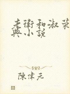 老卫和淑荣的经典小说