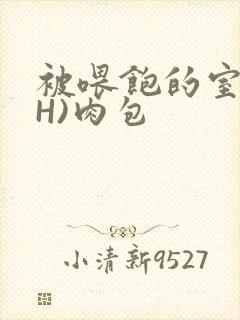 被喂饱的室友(H)肉包