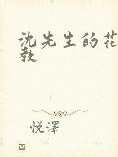 沈先生的花式管教