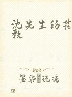 沈先生的花式管教