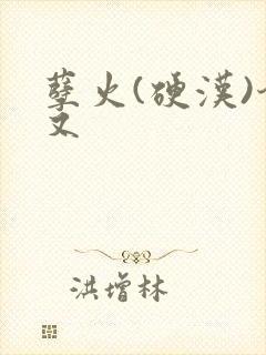 孽火(硬汉)今又