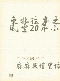 东北往事之黑道风云20年小说