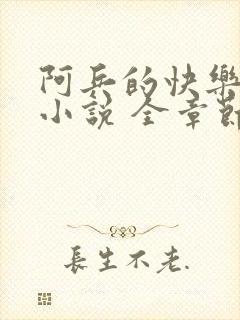 阿兵的快乐生活小说 全章节阅读免费