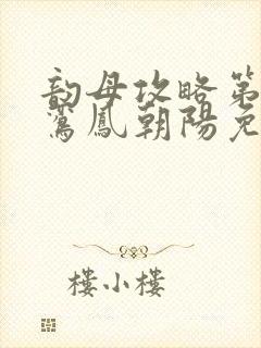 韵母攻略第二部鸾凤朝阳免费阅读