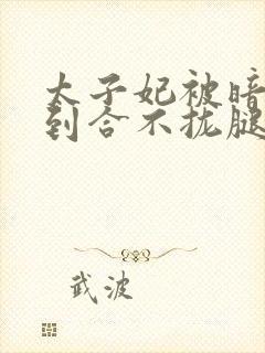 太子妃被暗卫C到合不拢腿