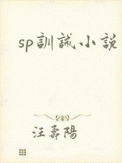 sp训诫小说