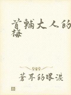 首辅大人的小青梅