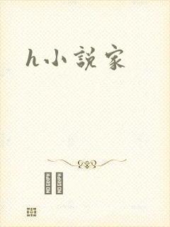 h小说家