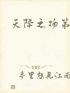 天降之物第一季