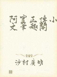 阿宾正传小说全文笔趣阁