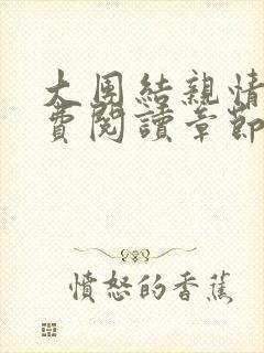 大团结亲情会免费阅读章节封面