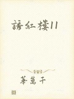 诱红楼11