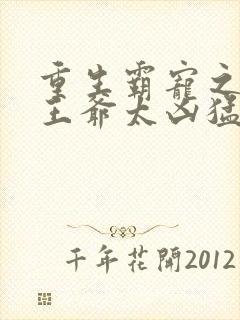 重生霸宠之摄政王爷太凶猛