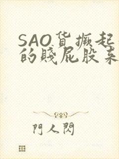 SAO货撅起你的贱屁股来