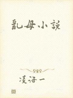 乱母小说