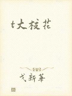 t大校花