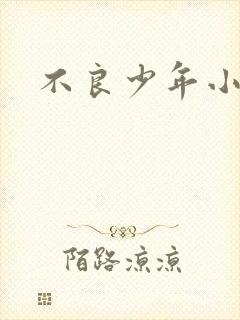 不良少年小说