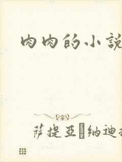 肉肉的小说封面