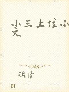 小三上位小说全文封面