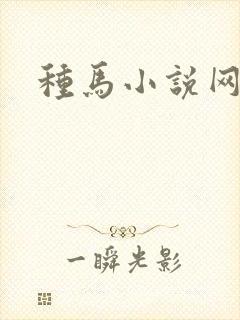 种马小说网