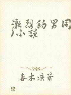 激烈的男同(h)小说