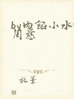 by肉馅小水饺周慈