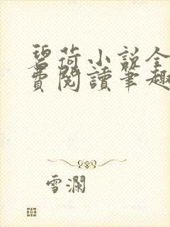 碧荷小说全文免费阅读笔趣阁