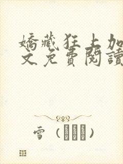 娇藏狂上加狂全文免费阅读笔趣阁