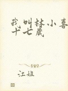 我叫林小喜今年十七岁封面