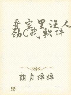 哥家里没人使点劲C我软件