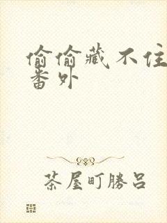 偷偷藏不住新婚番外