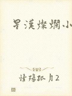 星汉灿烂小说