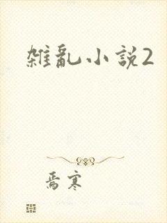 杂乱小说2封面