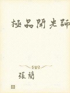 极品开光师