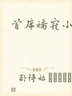 首席娇宠小情人封面