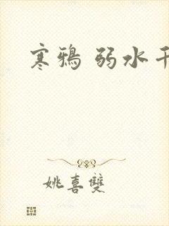 寒鸦 弱水千流封面