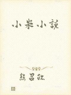 小米小说