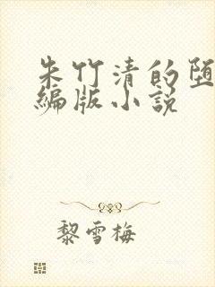 朱竹清的堕落改编版小说封面