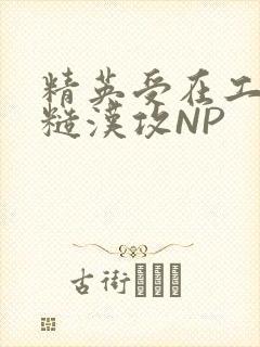 精英受在工地被糙汉攻NP