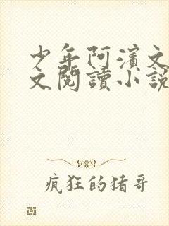 少年阿滨文全全文阅读小说