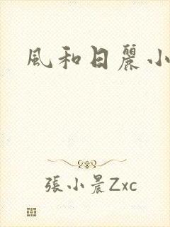 风和日丽小说