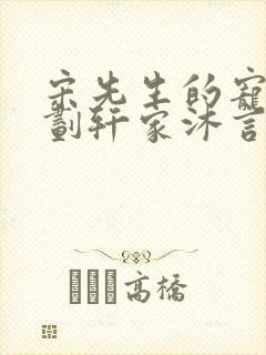 宋先生的宠妻计划轩家沐言